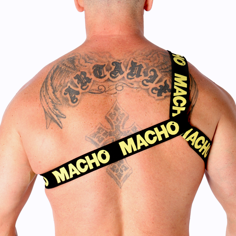 Macho - Arnes Romano 4 MACHO - HARNAIS ROMANO – Image 4