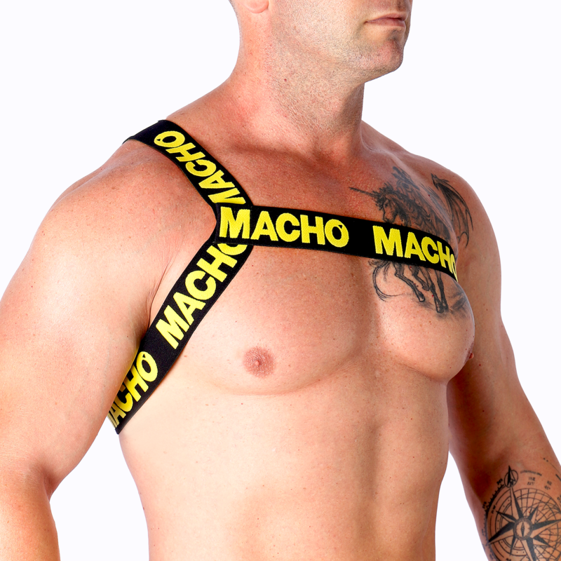 Macho - Arnes Romano 2 MACHO - HARNAIS ROMANO – Image 2