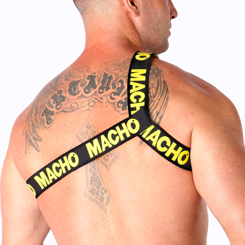 Macho - Arnes Romano 3 MACHO - HARNAIS ROMANO – Image 3